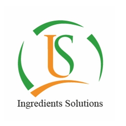 Logo IG solutions
