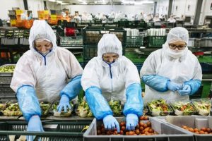 Cómo implementar un sistema eficiente de inocuidad alimentaria en las plantas de producción