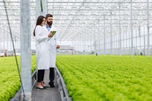 Las últimas tendencias en agronomía: ¿Qué tecnologías están revolucionando el campo?