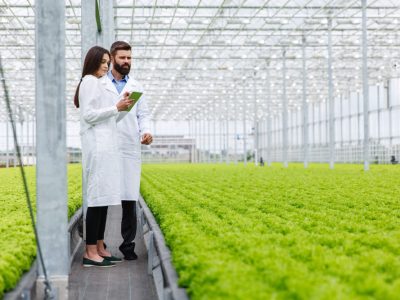 Las últimas tendencias en agronomía: ¿Qué tecnologías están revolucionando el campo?