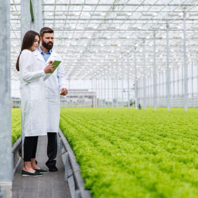 Las últimas tendencias en agronomía: ¿Qué tecnologías están revolucionando el campo?