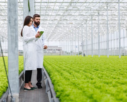 Las últimas tendencias en agronomía: ¿Qué tecnologías están revolucionando el campo?