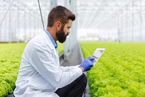 Agricultura 4.0: un vistazo a las tecnologías que están transformando el sector