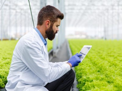 Agricultura 4.0: un vistazo a las tecnologías que están transformando el sector