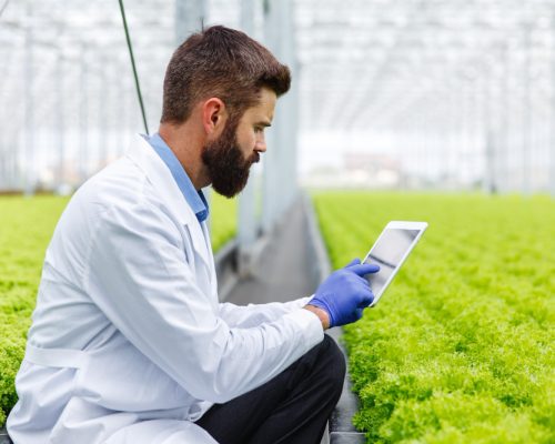 Agricultura 4.0: un vistazo a las tecnologías que están transformando el sector