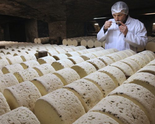 Algunos ganaderos de ovejas rompen el molde