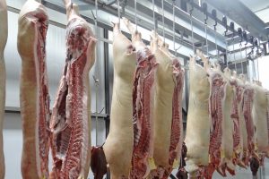 Exportaciones porcinas: la pata que la falta a la mesa del sector porcino de la Argentina