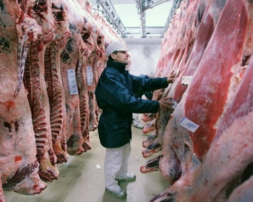 Actualidad y perspectivas de la cadena de la carne bovina