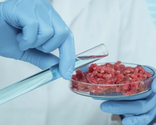 Proteínas y estabilizantes confiables para carnes análogas