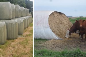 Los plásticos en la producción agropecuaria