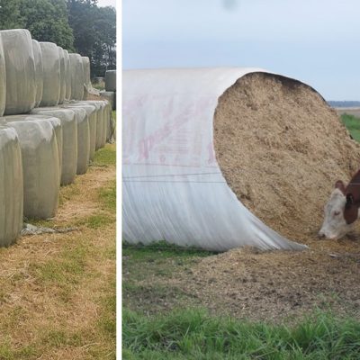 Los plásticos en la producción agropecuaria