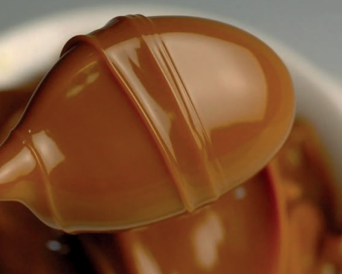 Dulce de leche de cabra de producción artesanal: caracterización fisicoquímica, microbiológica y sensorial