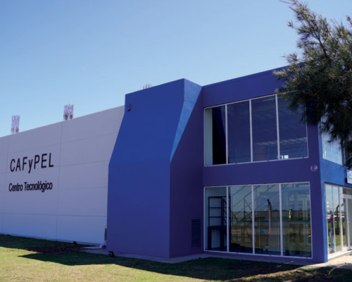 Entrevista a Guillermo Ferrero: El Director Ejecutivo de CAFYPEL habla sobre los objetivos y logros de la institución