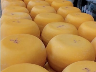 Ingrassi S.R.L. Potencia la protección de los productos lácteoscon Natacid y Fungicid