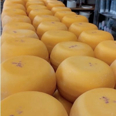 Ingrassi S.R.L. Potencia la protección de los productos lácteoscon Natacid y Fungicid