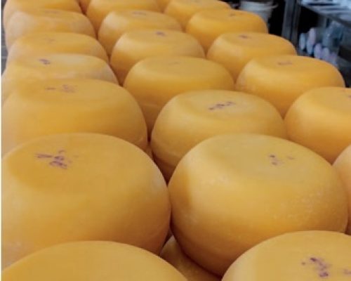 Ingrassi S.R.L. Potencia la protección de los productos lácteoscon Natacid y Fungicid