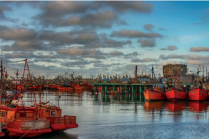 Economía circular en la industria pesquera de Mar del Plata: valorización de subproductos y el desafío de escalar estas innovaciones