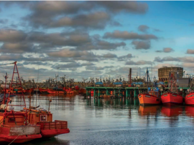 Economía circular en la industria pesquera de Mar del Plata: valorización de subproductos y el desafío de escalar estas innovaciones