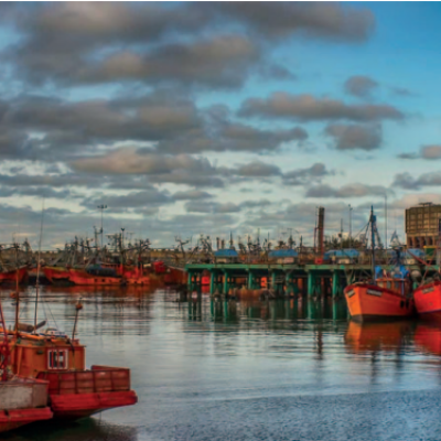 Economía circular en la industria pesquera de Mar del Plata: valorización de subproductos y el desafío de escalar estas innovaciones
