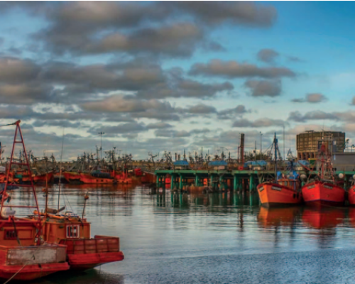 Economía circular en la industria pesquera de Mar del Plata: valorización de subproductos y el desafío de escalar estas innovaciones