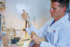 Innovación del INTA para mejorar la nutrición: chips de mozzarella