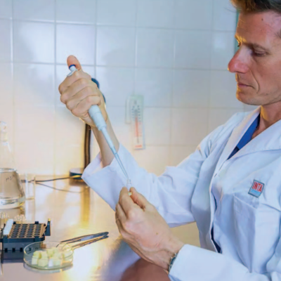 Innovación del INTA para mejorar la nutrición: chips de mozzarella