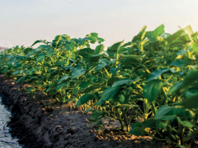 La disponibilidad de agua renovable por persona cayó un 7% en una década