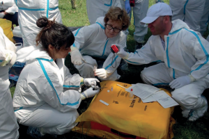 Fiebre Aftosa en Europa: un recordatorio de que la bioseguridades responsabilidad de todos