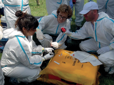 Fiebre Aftosa en Europa: un recordatorio de que la bioseguridades responsabilidad de todos
