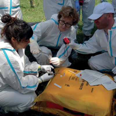 Fiebre Aftosa en Europa: un recordatorio de que la bioseguridades responsabilidad de todos