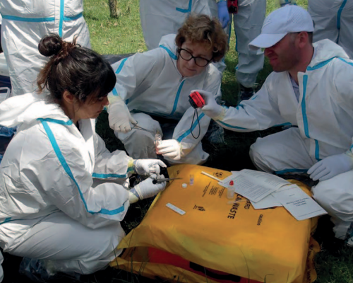 Fiebre Aftosa en Europa: un recordatorio de que la bioseguridades responsabilidad de todos