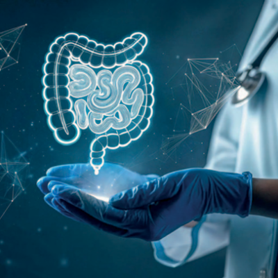 La función de las bacterias intestinales en la salud humana
