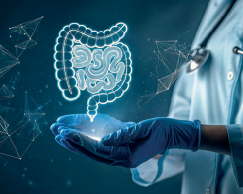 La función de las bacterias intestinales en la salud humana