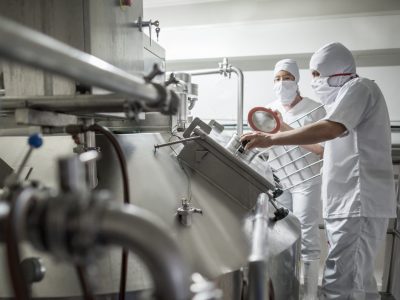 Control de NSLAB en la elaboración de leches fermentadas