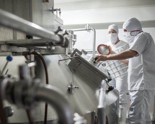 Control de NSLAB en la elaboración de leches fermentadas