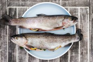 Tecnología de radiación ionizante para extender la vida útil de pescado magro fresco