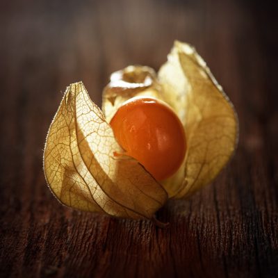 Physalis peruviana, una fruta andina con proyección mundial