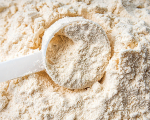 Significativo avance para la producción de caseína de origen microbiano