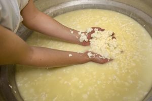 Identificación de caseinomacropéptido en aislados de suero de queso