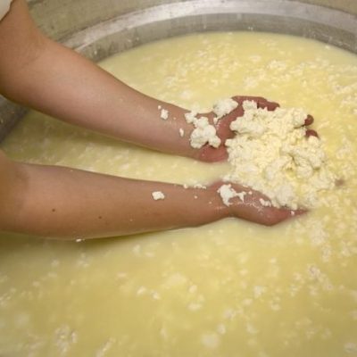 Identificación de caseinomacropéptido en aislados de suero de queso